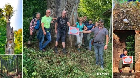 Foto zum Beitrag "Engagement für Mensch und Natur" Foto zum Beitrag "Engagement für Mensch und Natur" © Gemeinde Katlenburg-Lindau